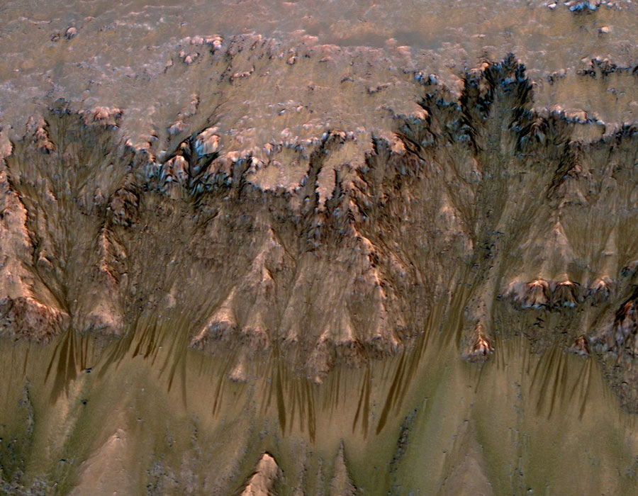 Seasonal Dark Streaks on Mars