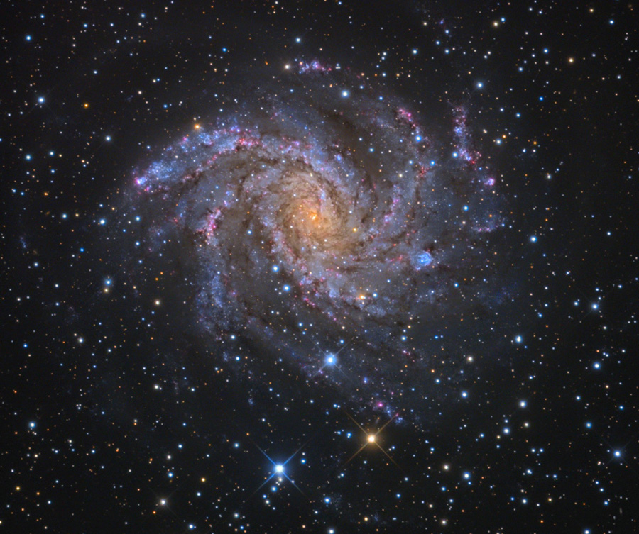 Fireworks Galaxy NGC 6946