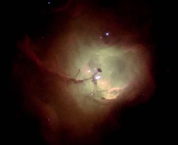 N81: Star Cradle in the SMC