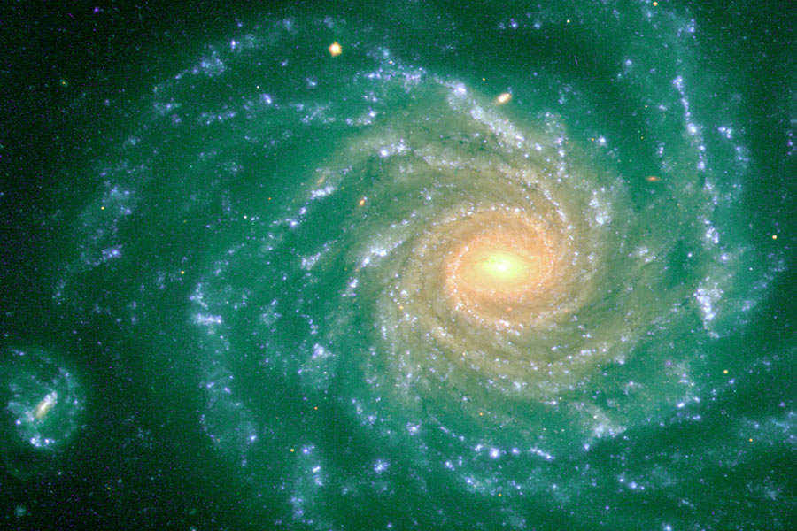 Spiral Galaxy NGC 1232