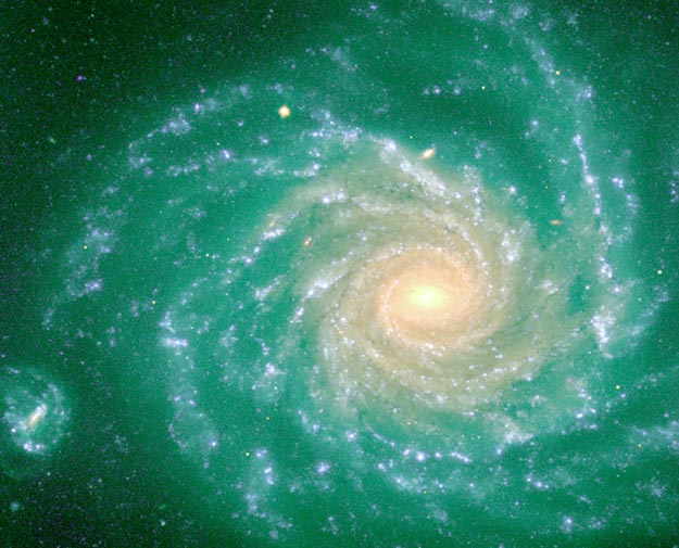 Spiral Galaxy NGC 1232