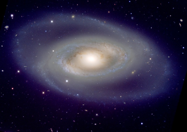 Spiral Galaxy NGC 1350