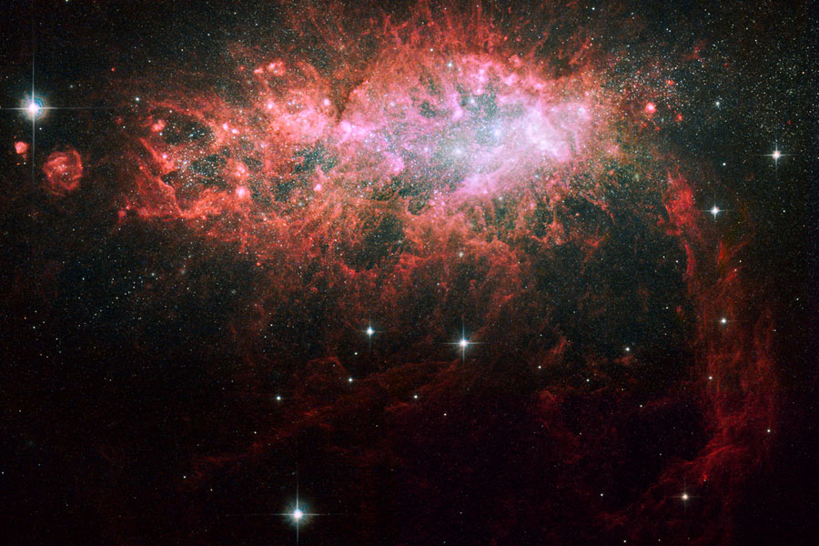 NGC 1569: Starburst in a Dwarf Irregular Galaxy