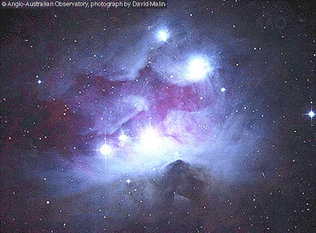 NGC 1977: Blue Reflection Nebula in Orion