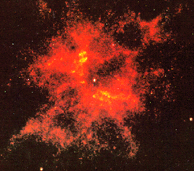 NGC 2440 Nucleus: The Hottest Star?