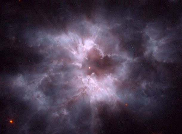 NGC 2440: Cocoon of a New White Dwarf
