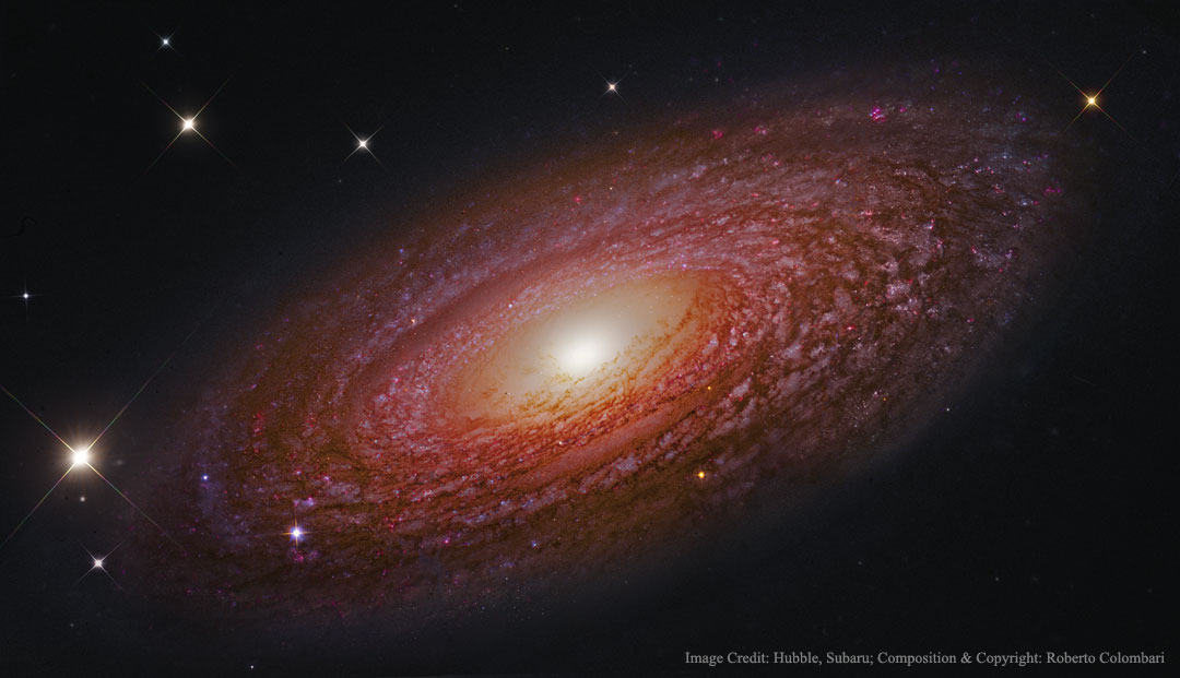 Massive Nearby Spiral Galaxy NGC 2841