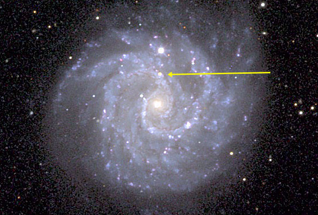 Gangly Spiral Galaxy NGC 3184