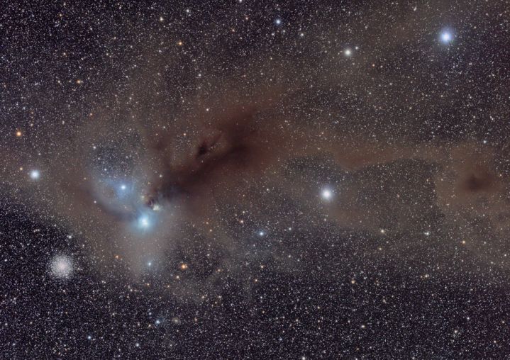 Stars and Dust in Corona Australis