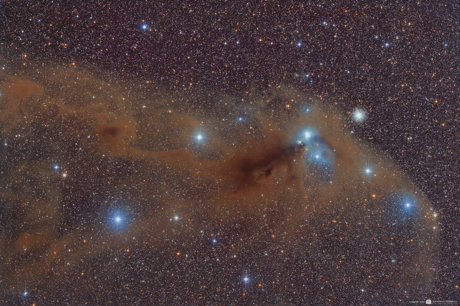 Stars and Dust Across Corona Australis