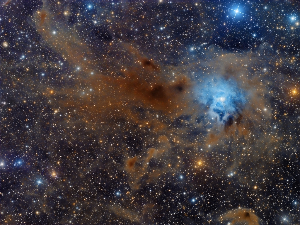 NGC 7023: The Iris Nebula