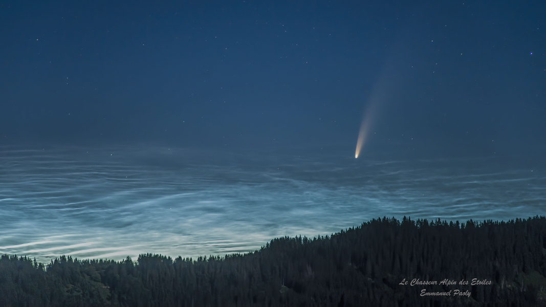 Noctilucent Clouds and Comet NEOWISE