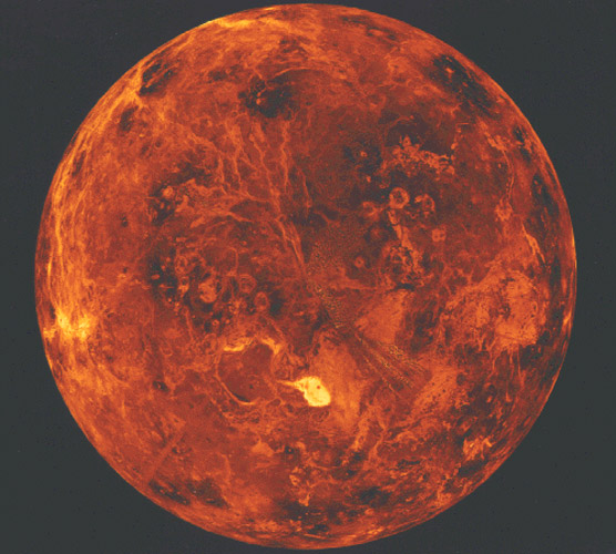 The North Pole of Venus