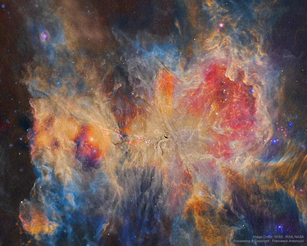 Infrared Orion from WISE