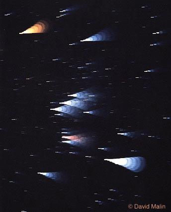 Orion's Star Colors

Credit and Copyright: