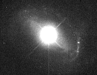 Why is QSO 1229+204 so Bright?