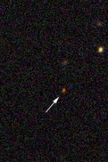 High Redshift Quasars