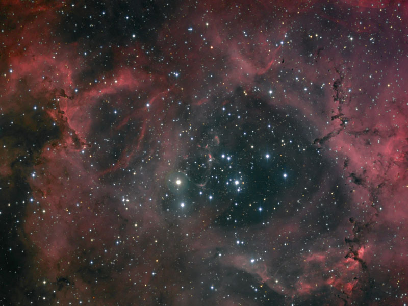 Dust and Light in the Rosette Nebula