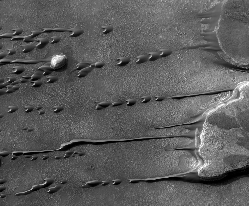 Flowing Barchan Sand Dunes on Mars