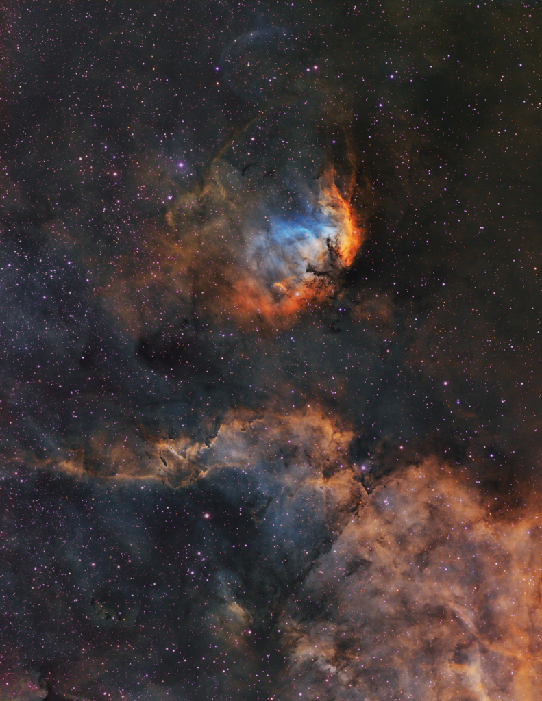 The Tulip and Cygnus X-1