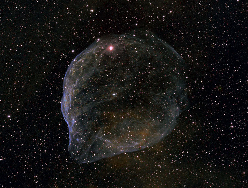 Sharpless 308: Star Bubble
