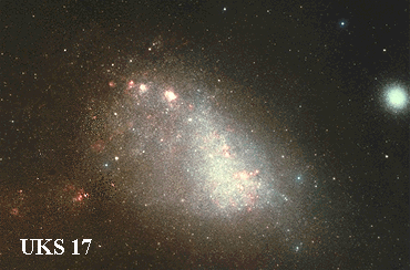 The Small Cloud of Magellan