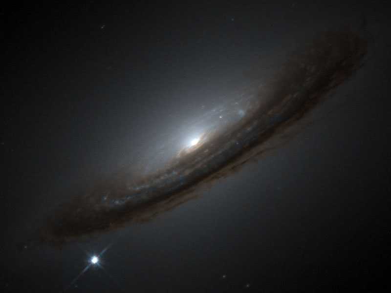 Supernova 1994D and the Unexpected Universe