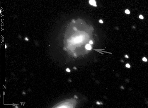 A Gamma-Ray Burst Supernova?