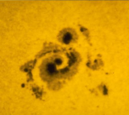 Spiral Sunspot