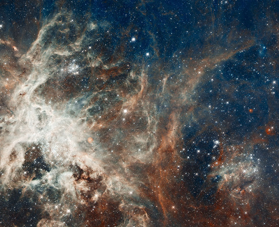 Star Formation in the Tarantula Nebula