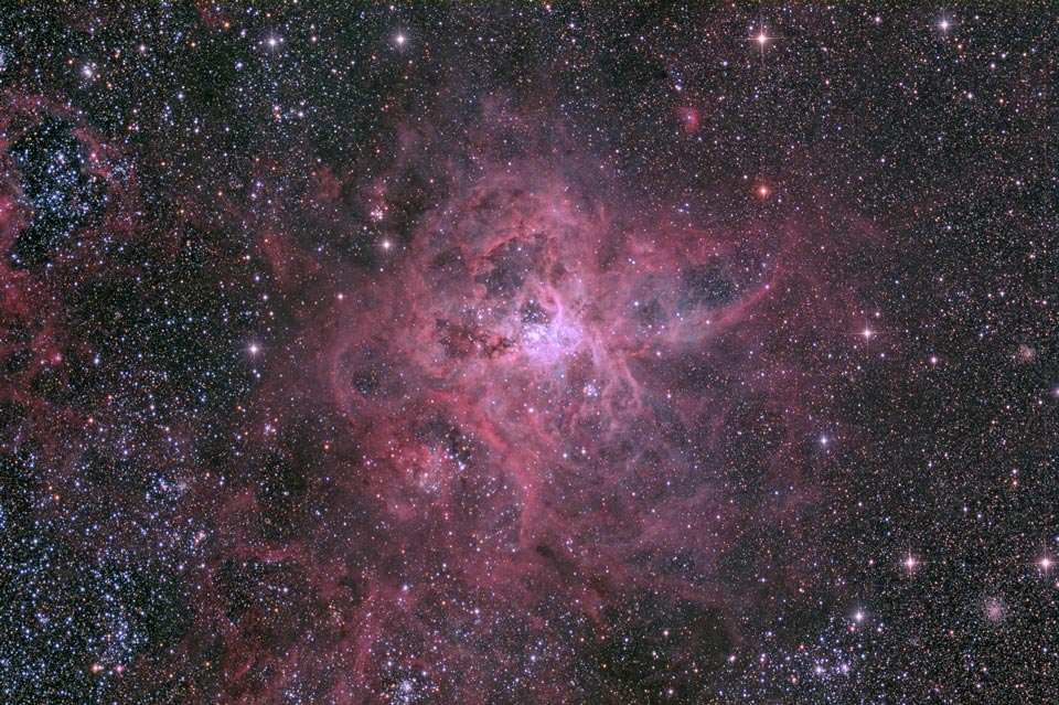 The Cosmic Web of the Tarantula Nebula