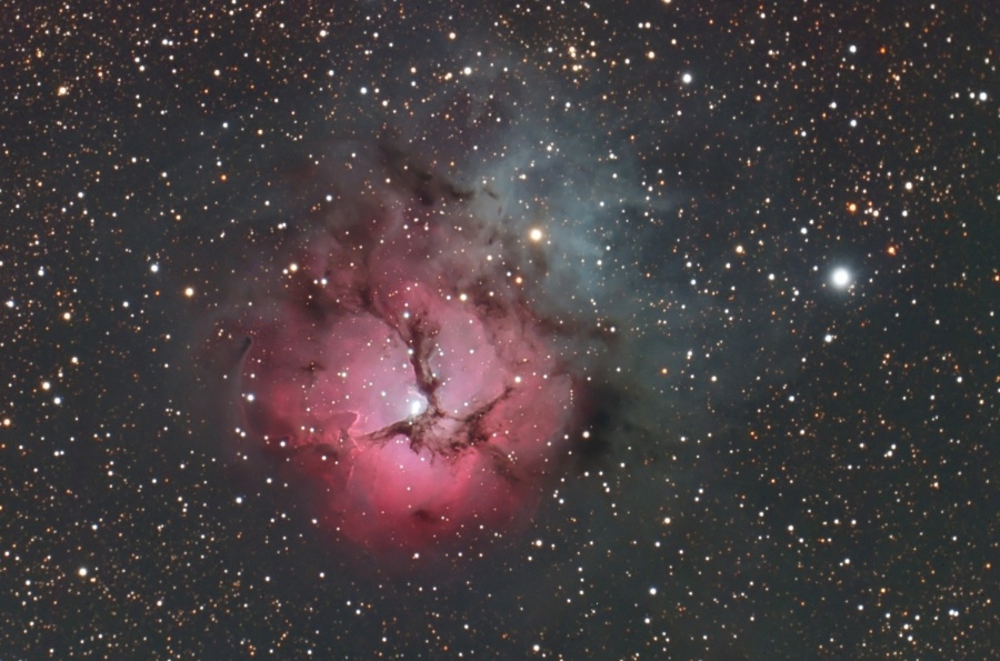 A Beautiful Trifid