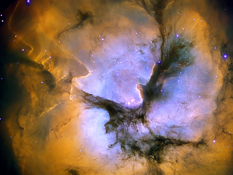 In the Center of the Trifid Nebula