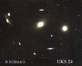 Virgo Cluster Galaxies