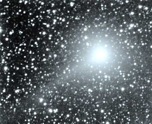 Comet Williams in 1998