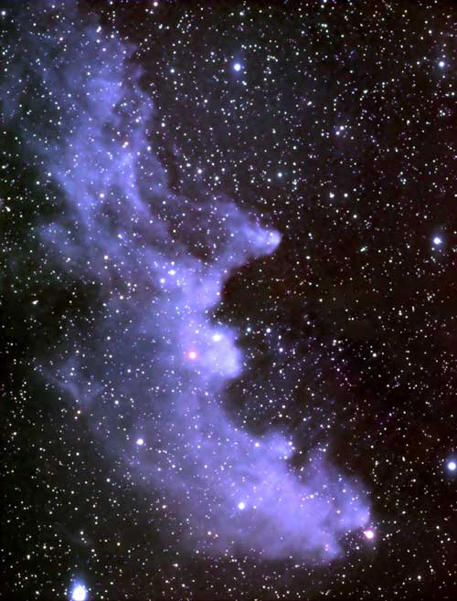 The Witch Head Nebula